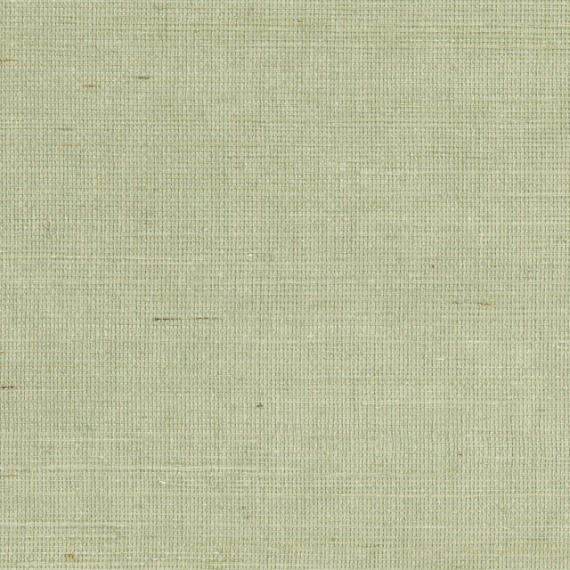 York Popun Light Green Sisal Grasscloth Wallpaper