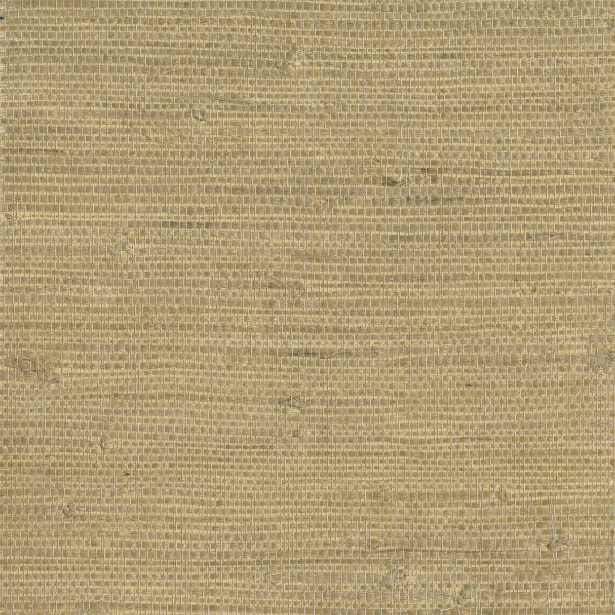 York Chuso Wheat Grasscloth Wallpaper