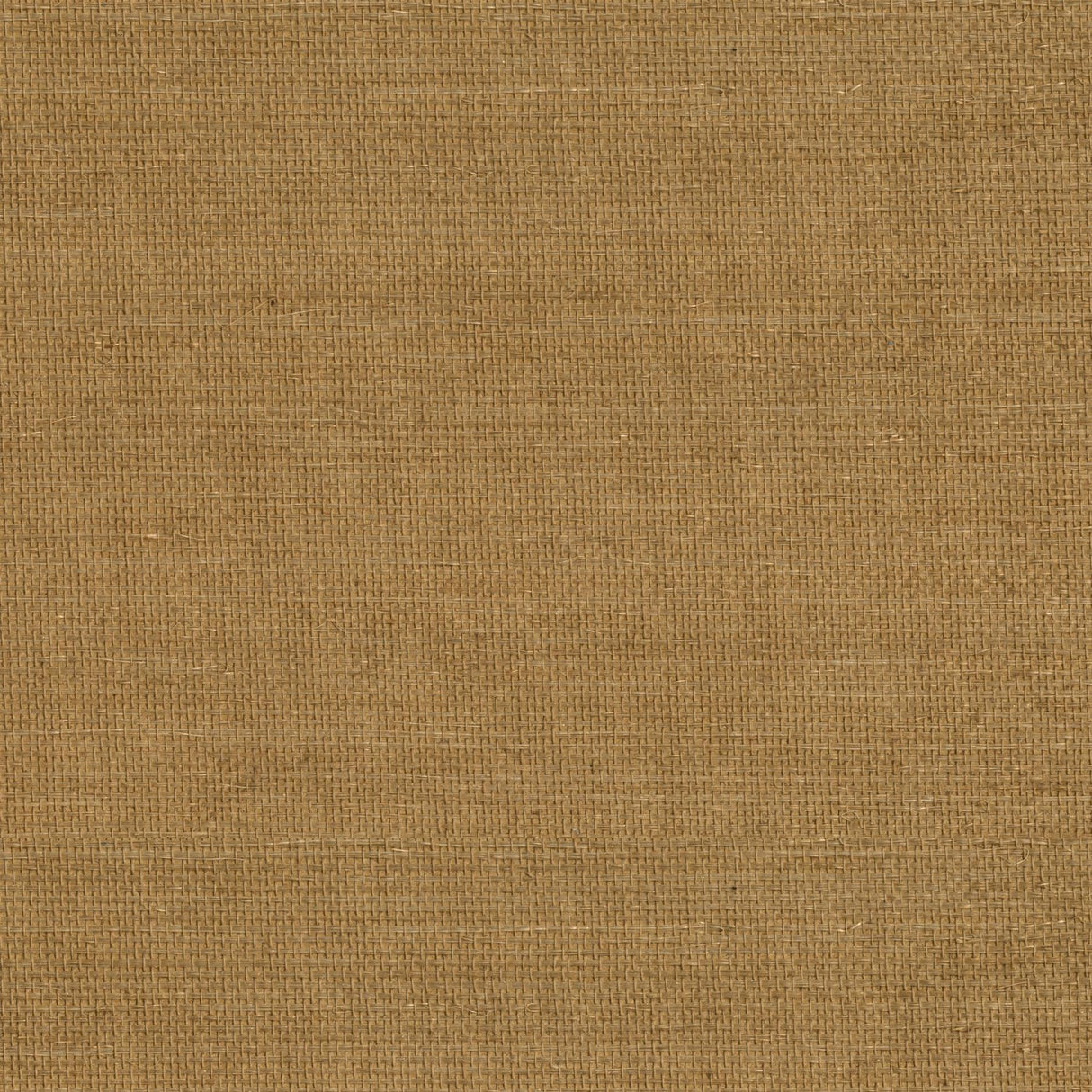 York Mukan Warm Sisal Grasscloth Wallpaper
