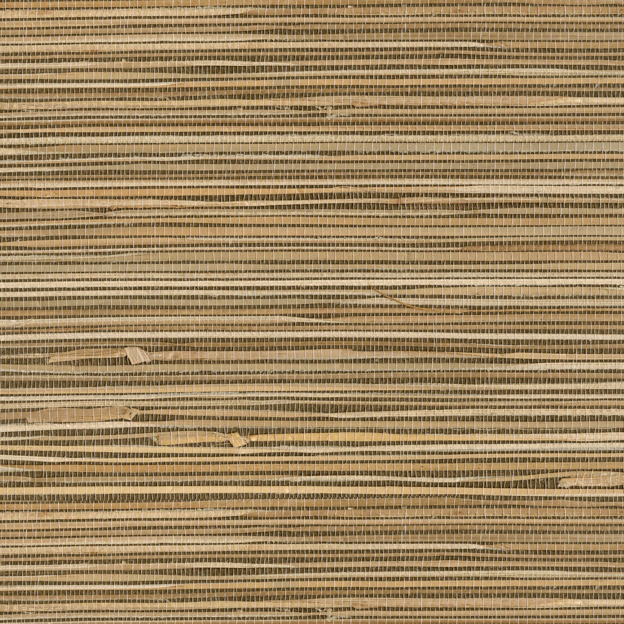 York Seiju Wheat Grasscloth Wallpaper