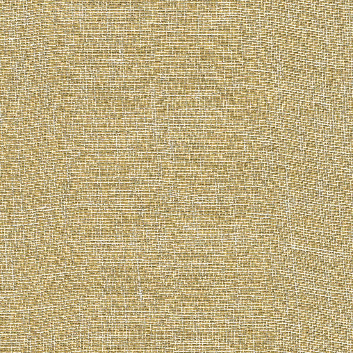 York Leyte Gold Grasscloth Wallpaper