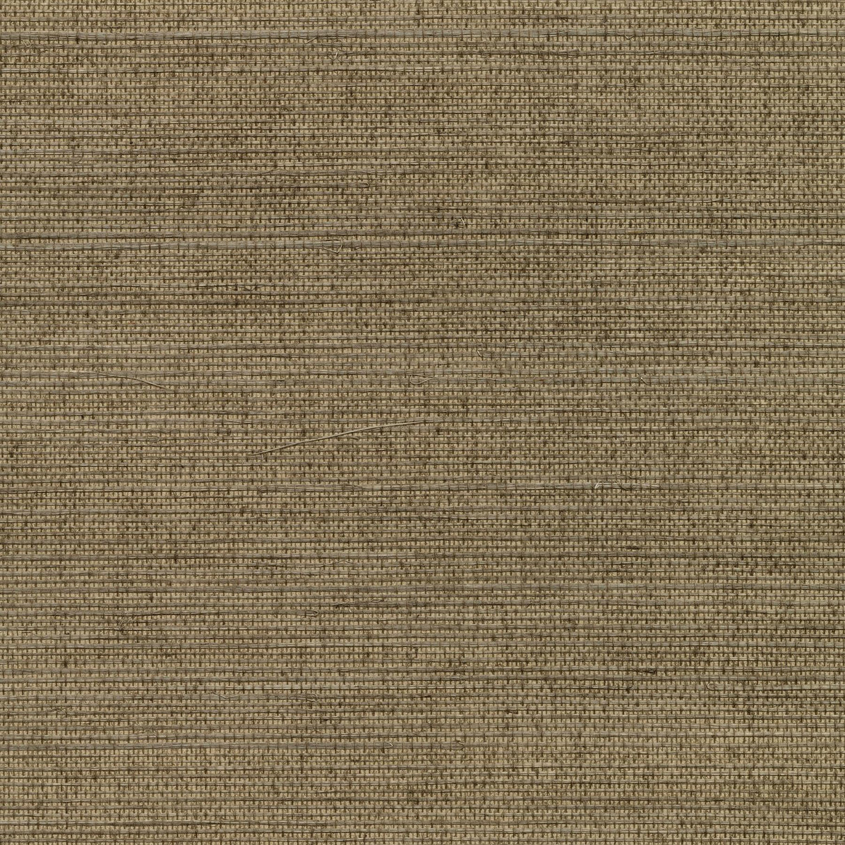 York Kansu Brown Sisal Grasscloth Wallpaper