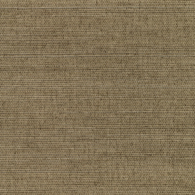 York Kansu Brown Sisal Grasscloth Wallpaper