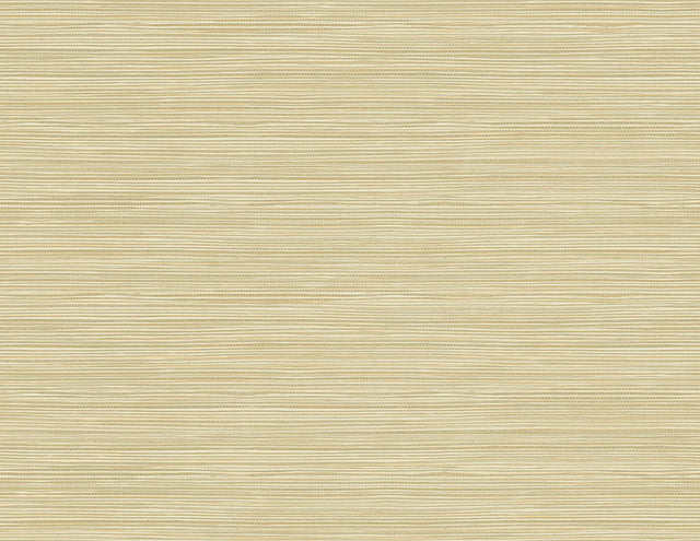 York Bondi Wheat Grasscloth Texture Wallpaper