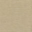 York Cape Town Beige Faux Silk Wallpaper