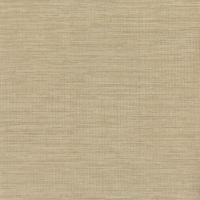York Cape Town Beige Faux Silk Wallpaper