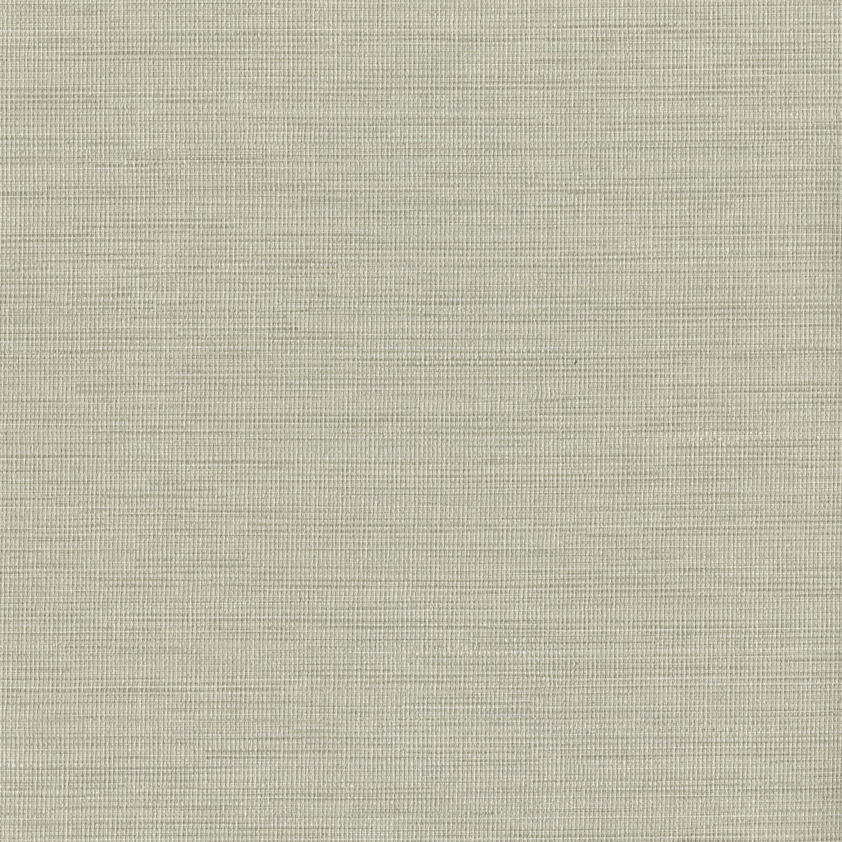 York Cape Town Dove Faux Silk Wallpaper