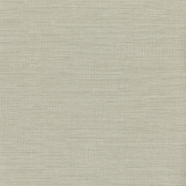 York Cape Town Dove Faux Silk Wallpaper