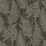 York Whistler Moss Leaf Wallpaper