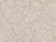 York Sansa Khaki Plaster Scroll Wallpaper