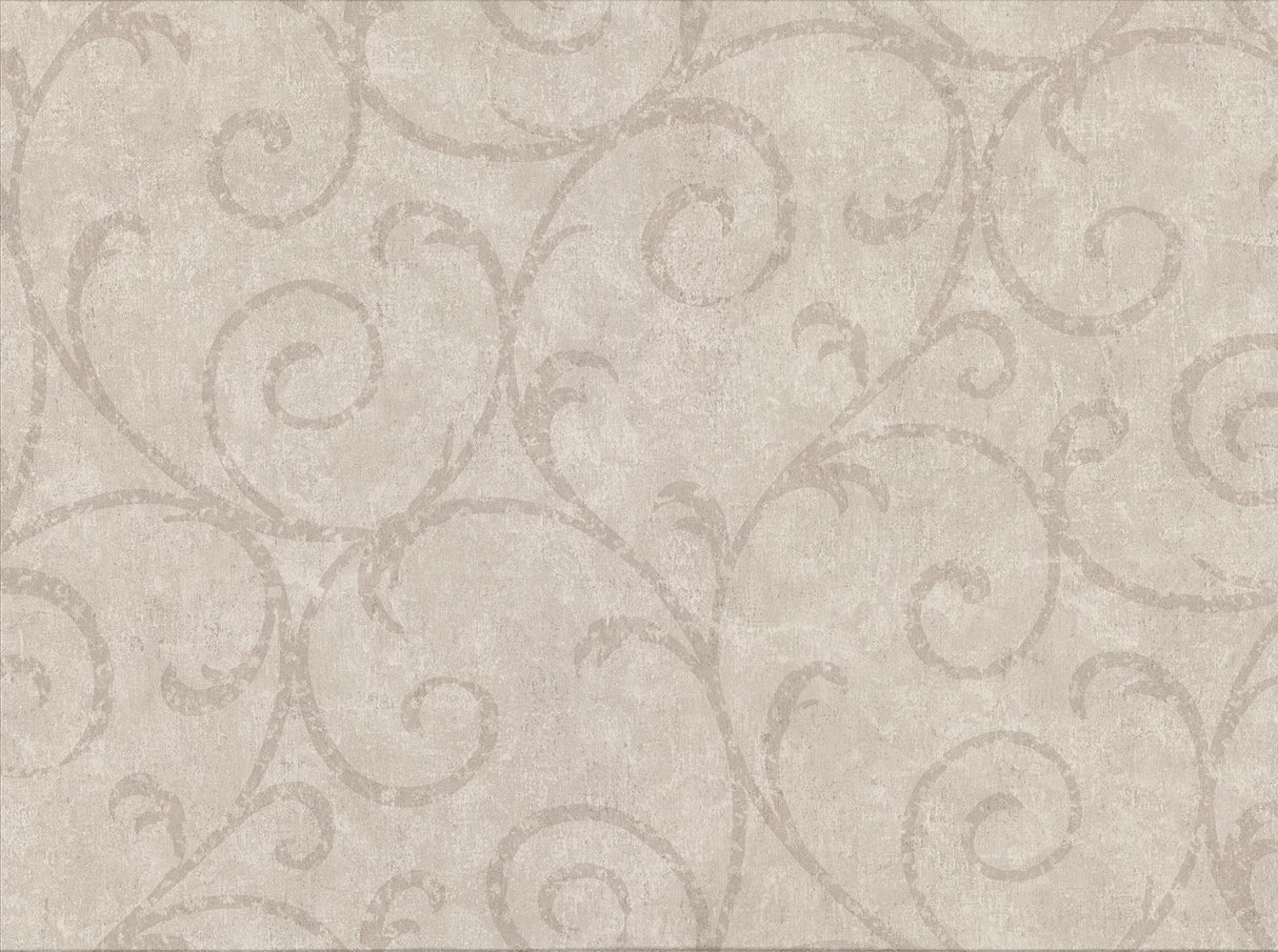 York Sansa Khaki Plaster Scroll Wallpaper
