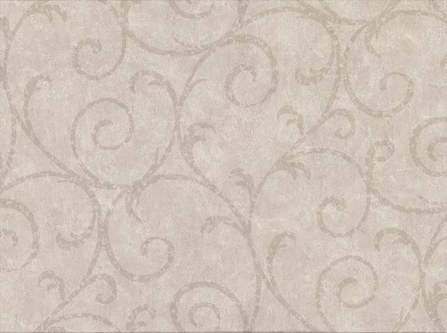 York Sansa Khaki Plaster Scroll Wallpaper