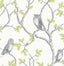 York Linden Green Owl Wallpaper