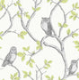 York Linden Green Owl Wallpaper