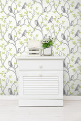 York Linden Green Owl Wallpaper