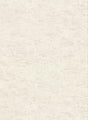 York Pembroke Off-White Faux Plaster Wallpaper