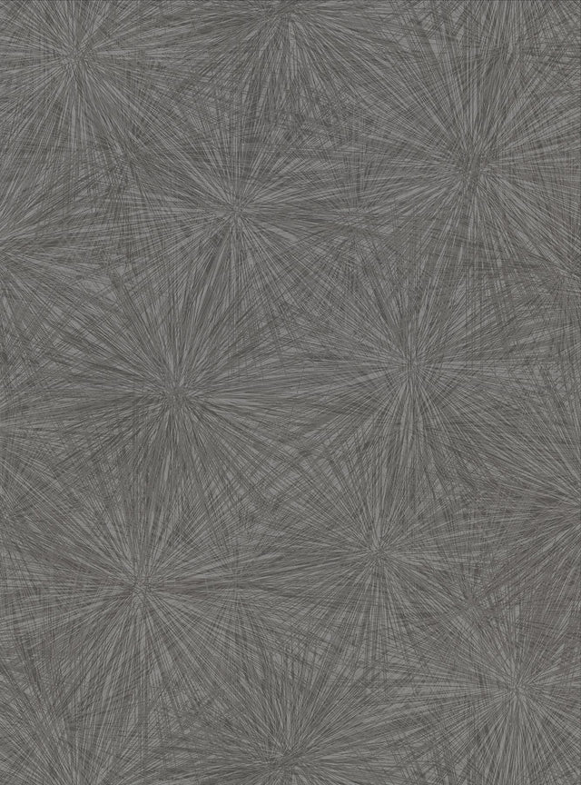 York Majestic Black Starburst Wallpaper