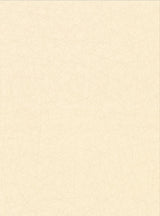 York Allover Stix Champagne Geometric Wallpaper