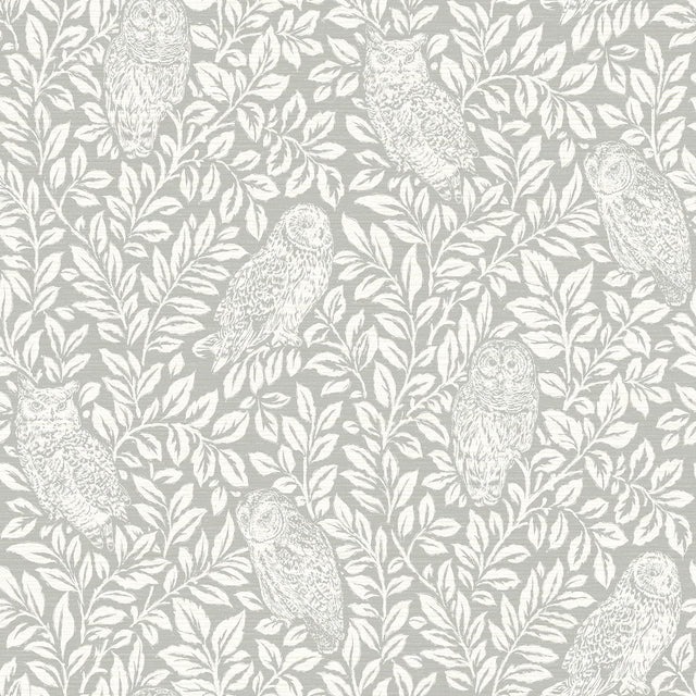 York Parliament Light Grey Owl Wallpaper