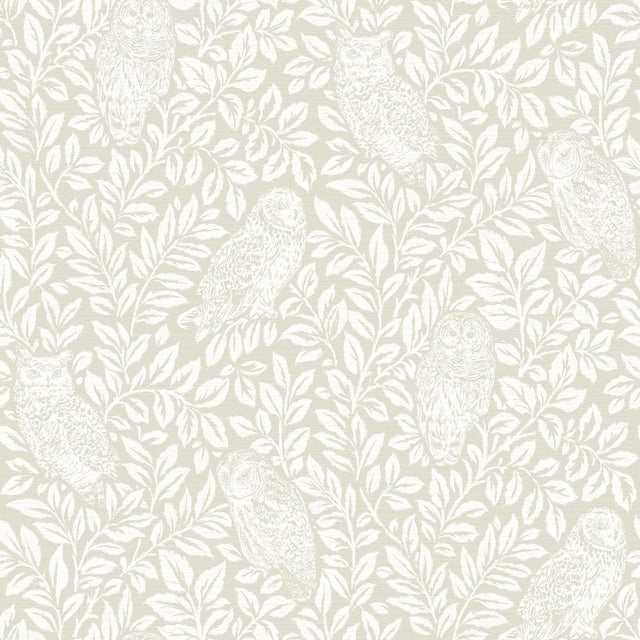 York Parliament Cream Owl Wallpaper