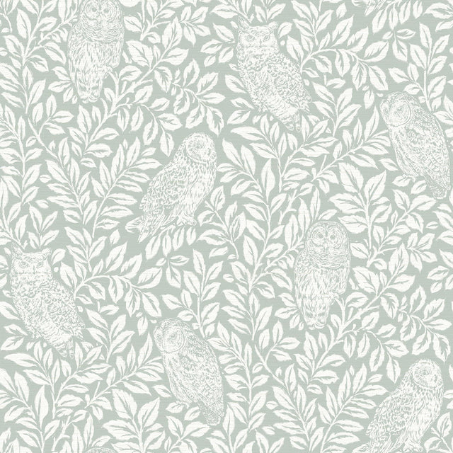 York Parliament Teal Owl Wallpaper