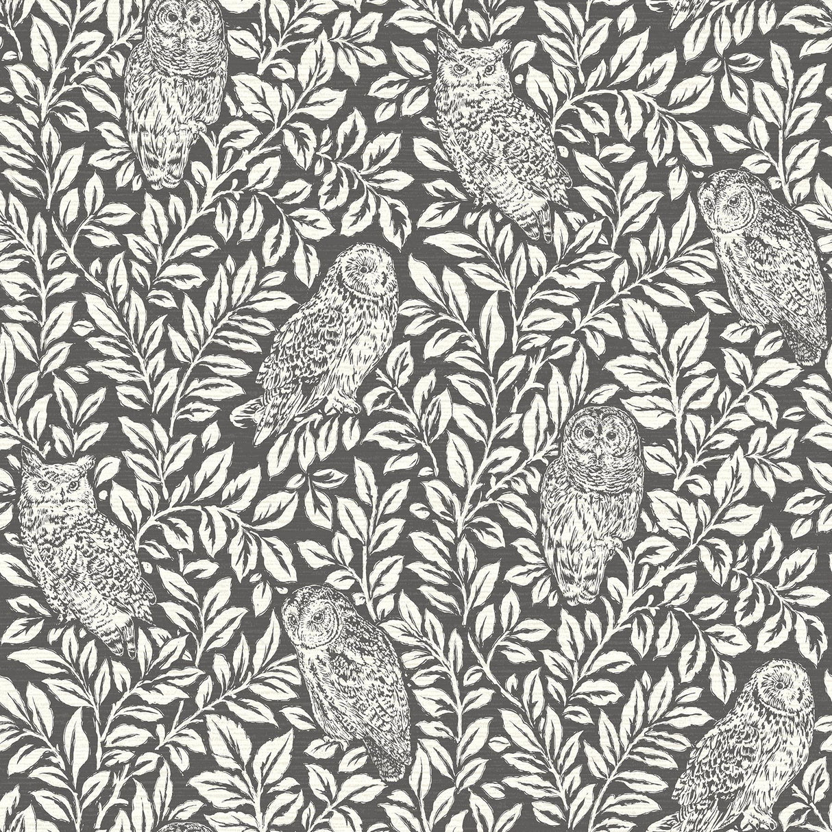 York Parliament Brown Owl Wallpaper
