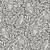 York Parliament Brown Owl Wallpaper