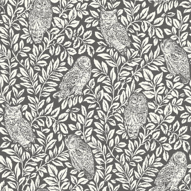 York Parliament Brown Owl Wallpaper