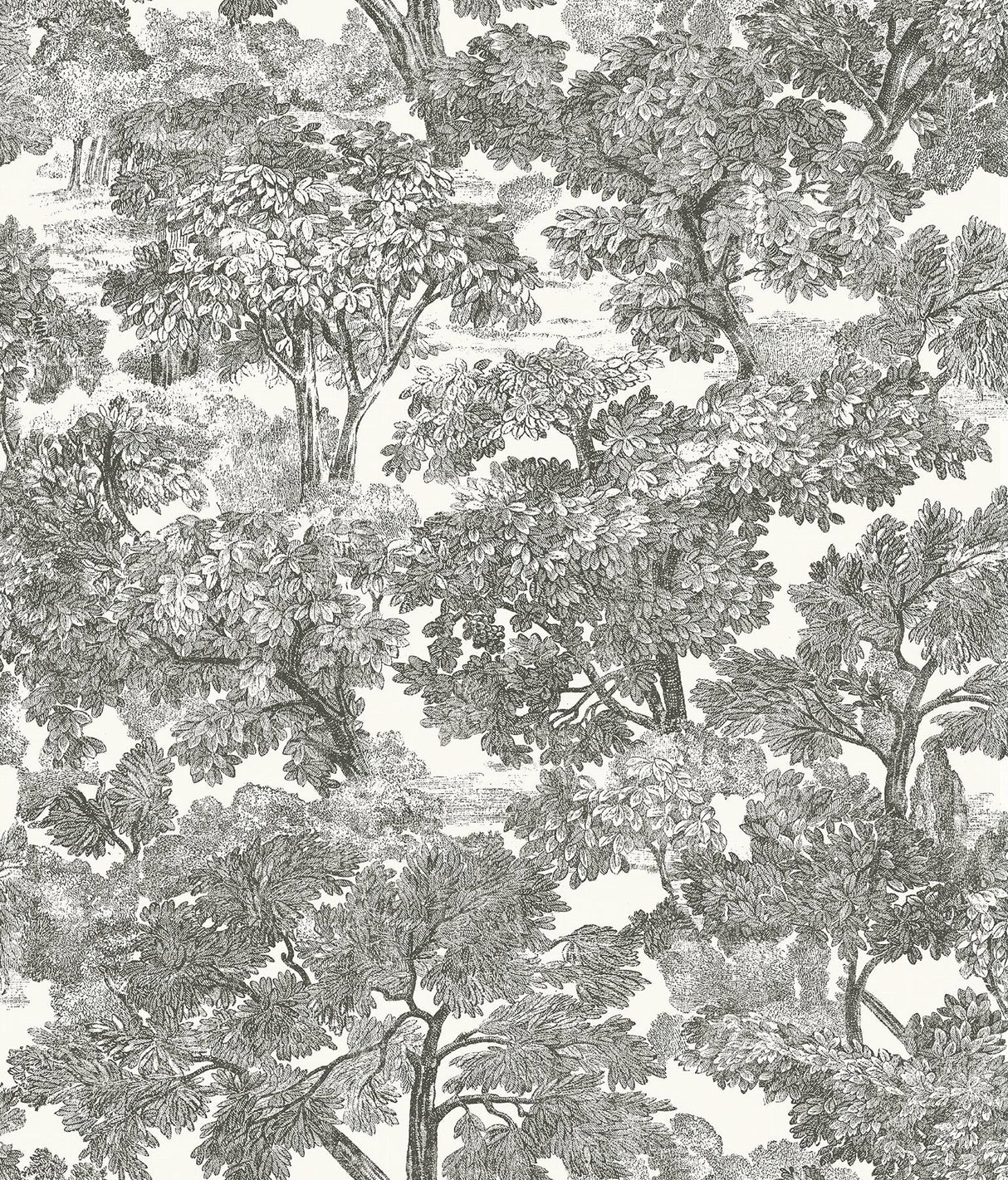 York Spinney Black Toile Wallpaper