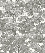 York Spinney Black Toile Wallpaper