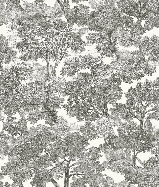 York Spinney Black Toile Wallpaper
