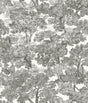 York Spinney Black Toile Wallpaper