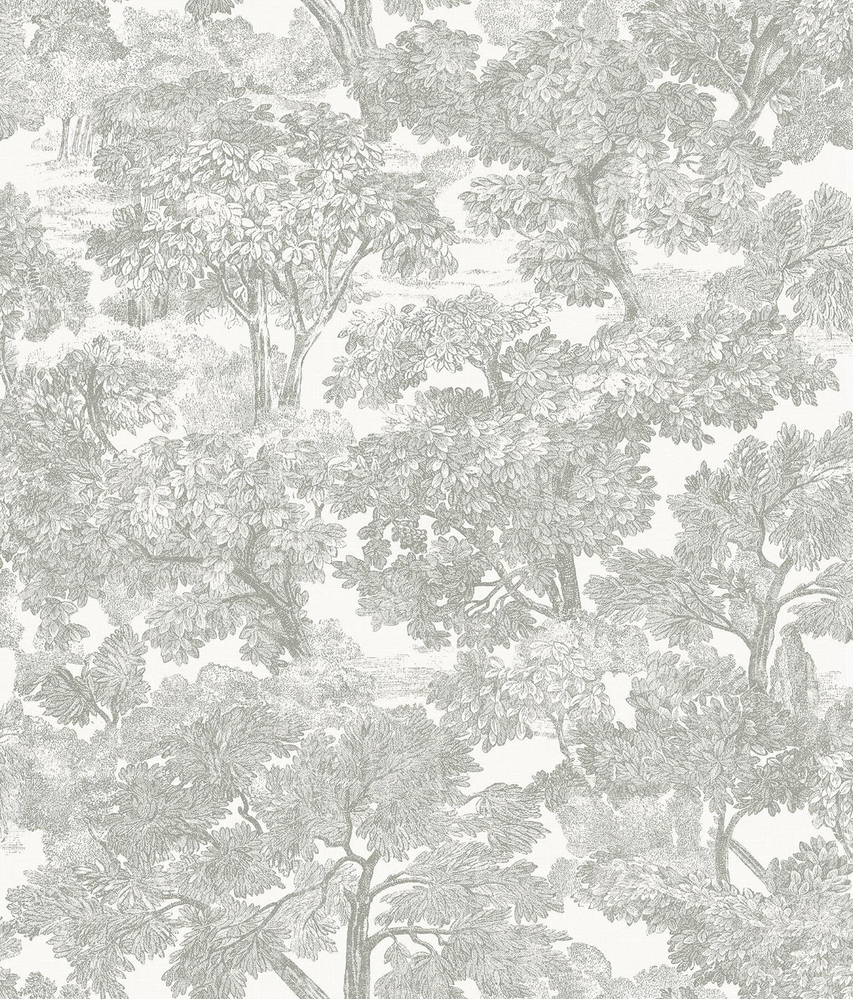 York Spinney Grey Toile Wallpaper