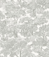 York Spinney Grey Toile Wallpaper