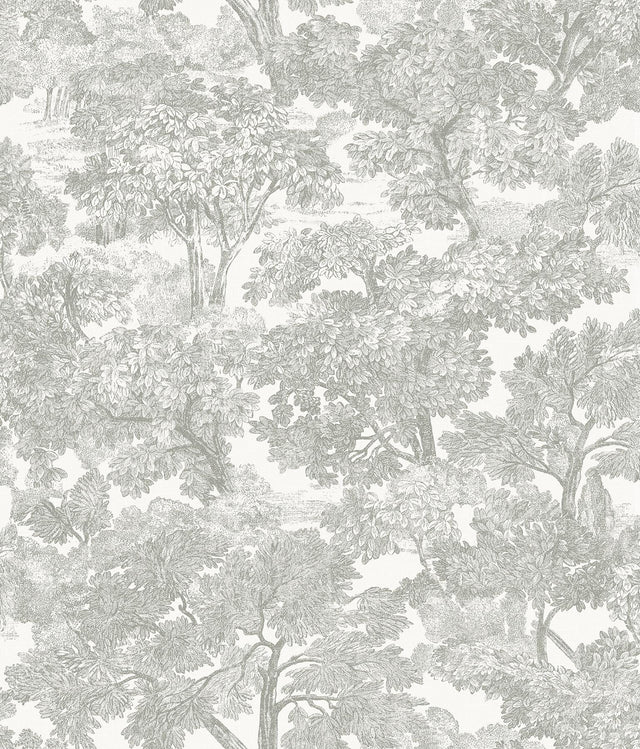 York Spinney Grey Toile Wallpaper