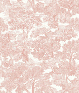 York Spinney Rose Toile Wallpaper