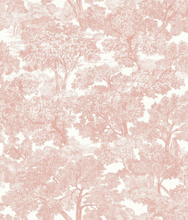 York Spinney Rose Toile Wallpaper – DecoratorsBest