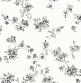 York Cyrus Black Festive Floral Wallpaper