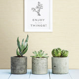 York Agave Light Yellow Faux Grasscloth Wallpaper