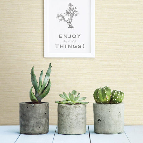 York Agave Light Yellow Faux Grasscloth Wallpaper