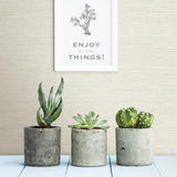 York Agave Dove Faux Grasscloth Wallpaper