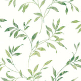 York Sanibel Green Trail Wallpaper