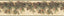 York Pinecone Forest Multicolor Pine Border