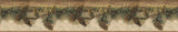 York Pine Hill Multicolor Foliage Border