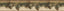 York Pine Hill Multicolor Foliage Border
