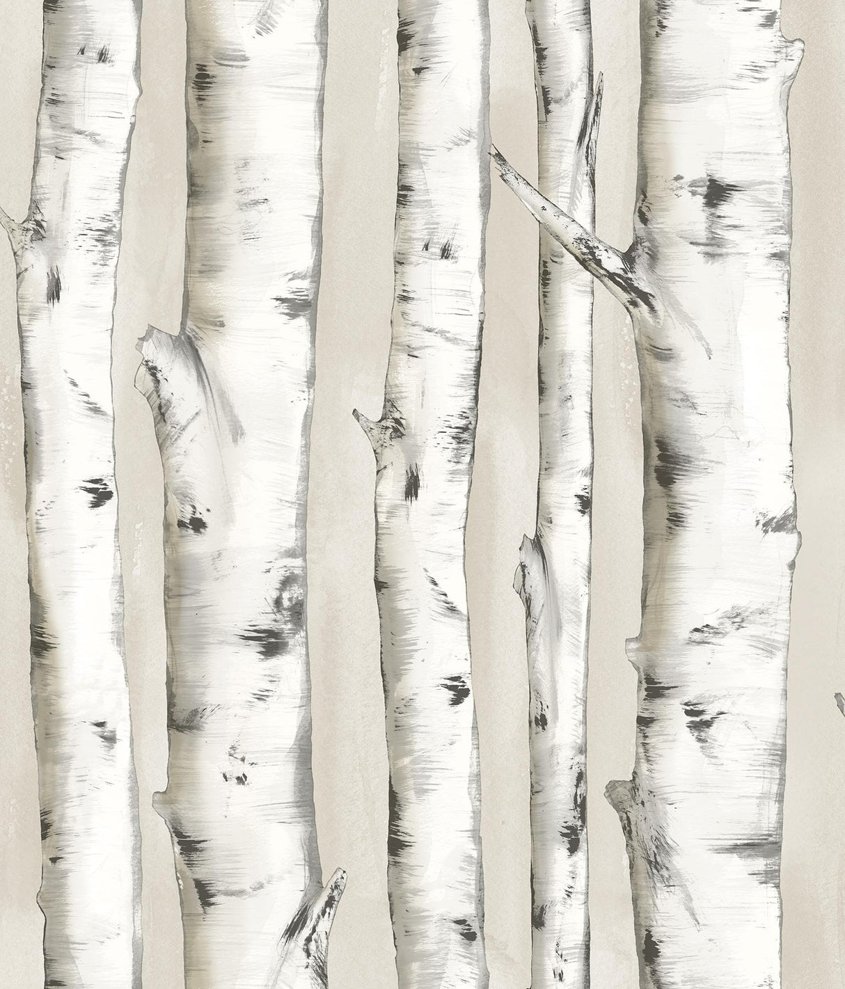 York Pioneer Off-White Birch Tree Wallpaper