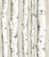 York Pioneer Off-White Birch Tree Wallpaper