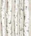 York Pioneer Off-White Birch Tree Wallpaper