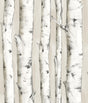 York Pioneer Off-White Birch Tree Wallpaper