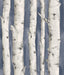York Pioneer Denim Birch Tree Wallpaper